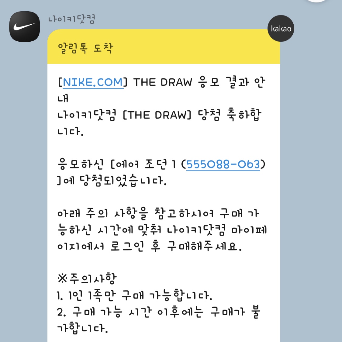 Jordan 1 Retro High OG Patent Bred 착용 스타일