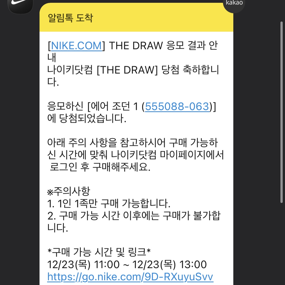 Jordan 1 Retro High OG Patent Bred 착용 스타일 - 5