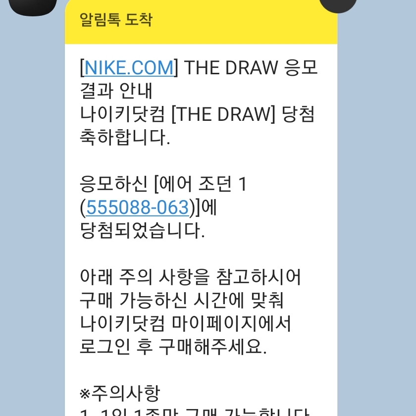 Jordan 1 Retro High OG Patent Bred 착용 스타일