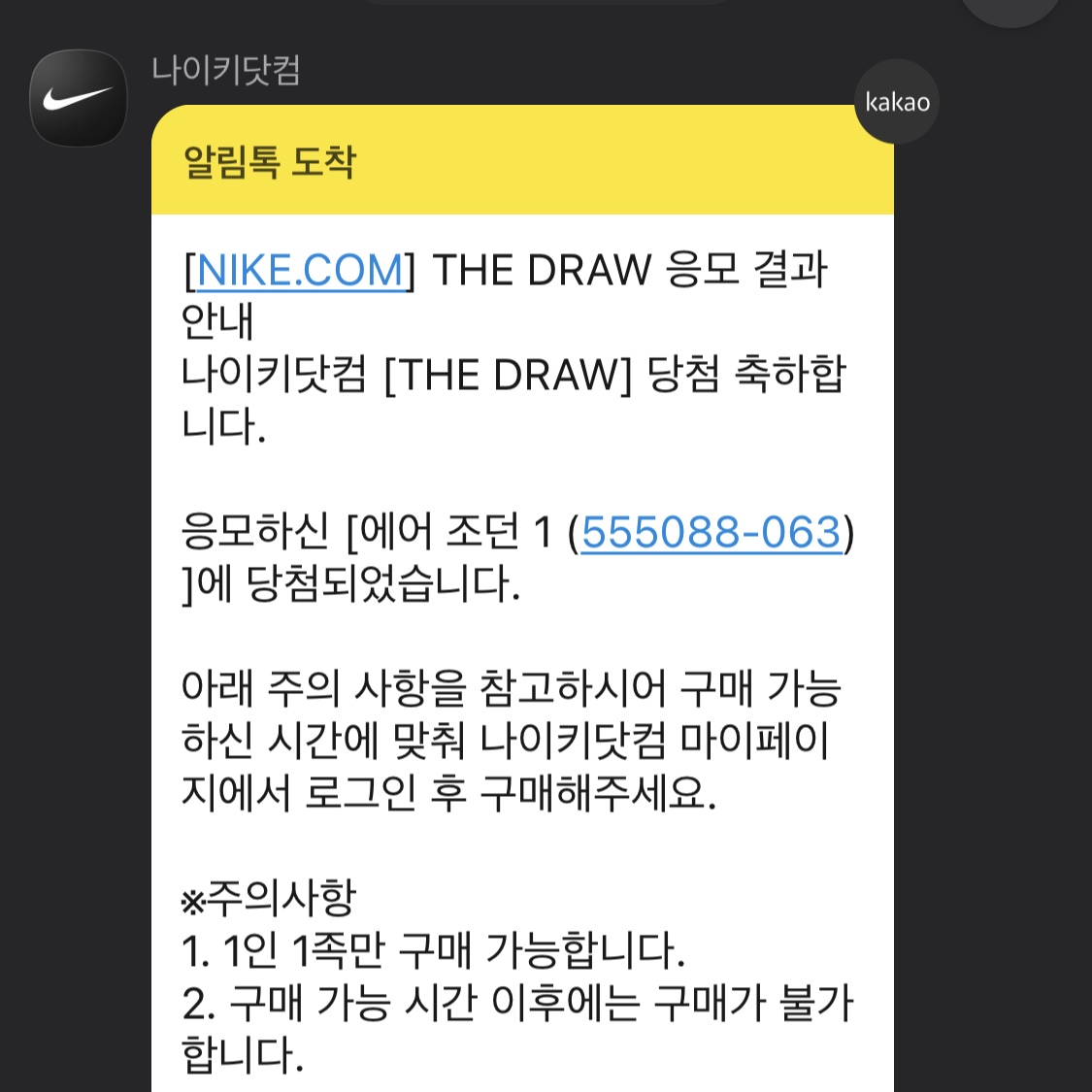 Jordan 1 Retro High OG Patent Bred 착용 스타일 - 2