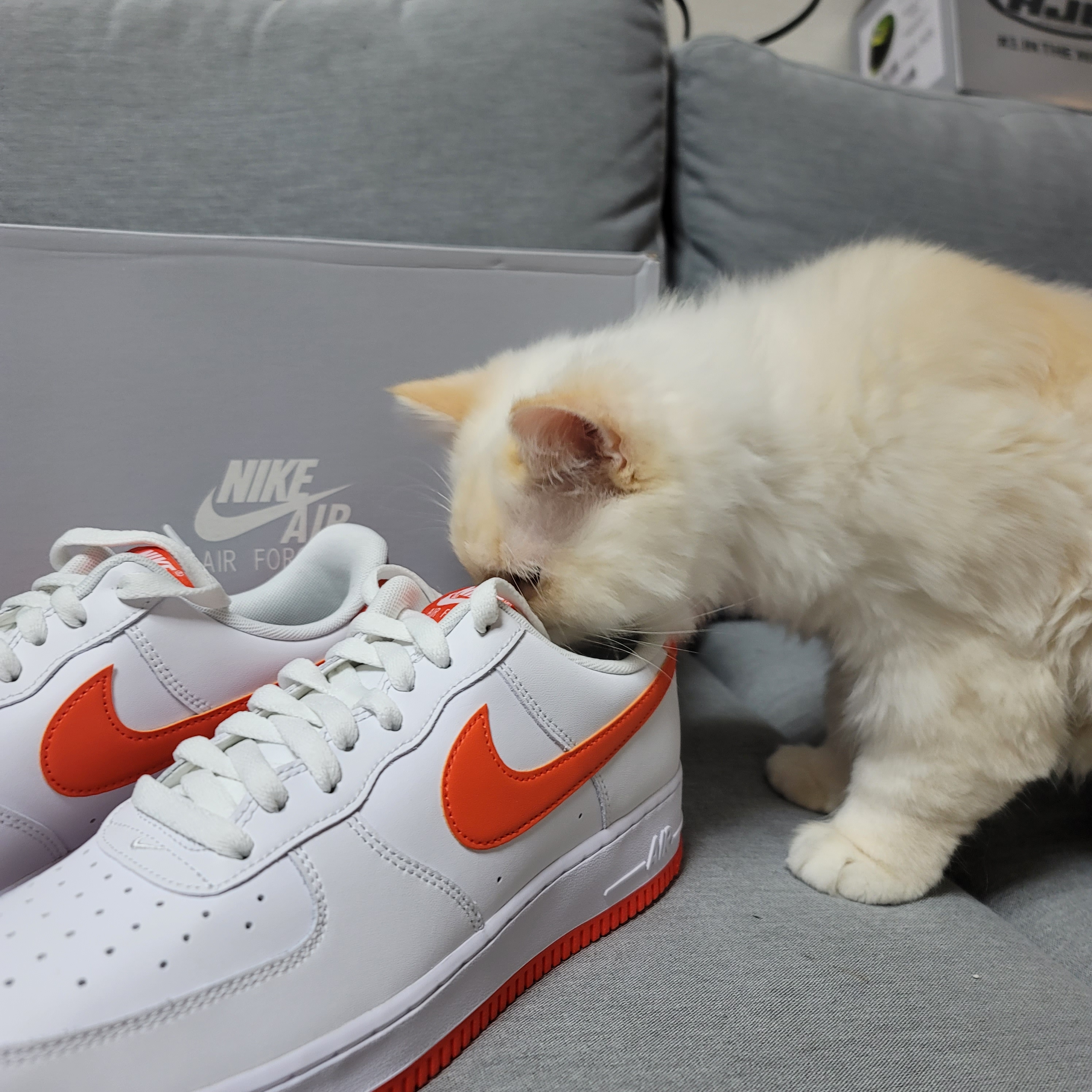 Nike Air Force 1 '07 Low White Team Orange 착용 스타일 - 1