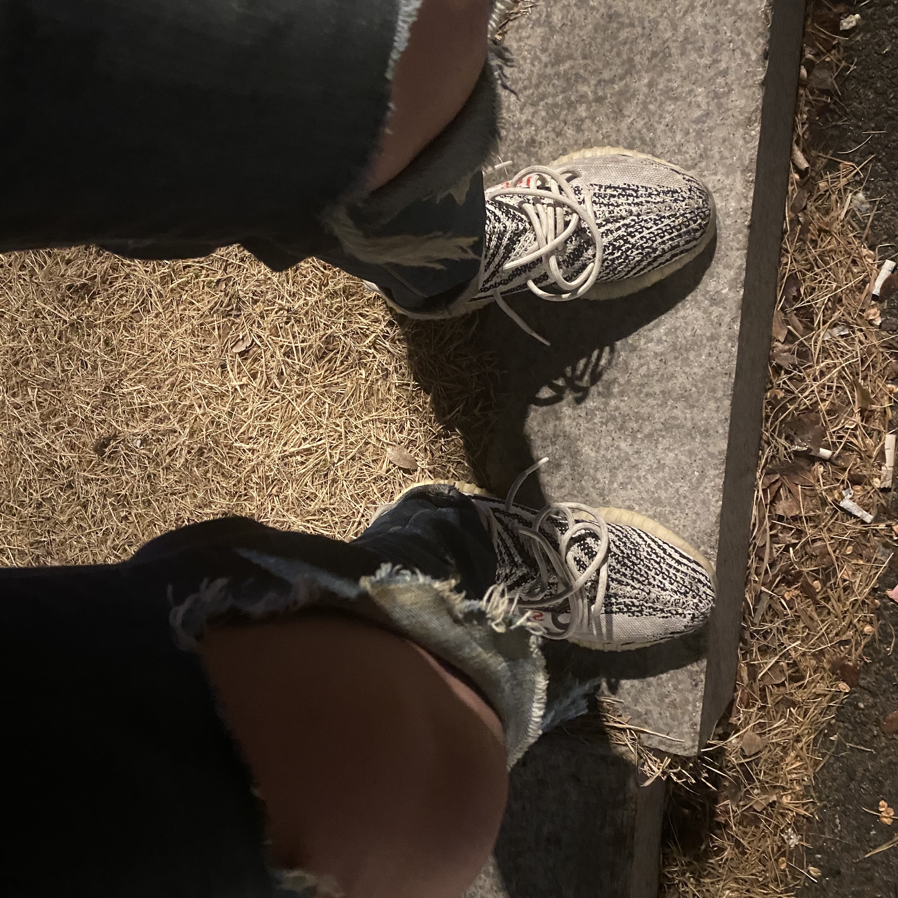 Adidas Yeezy Boost 350 V2 Zebra 2017/2019/2020 착용 스타일