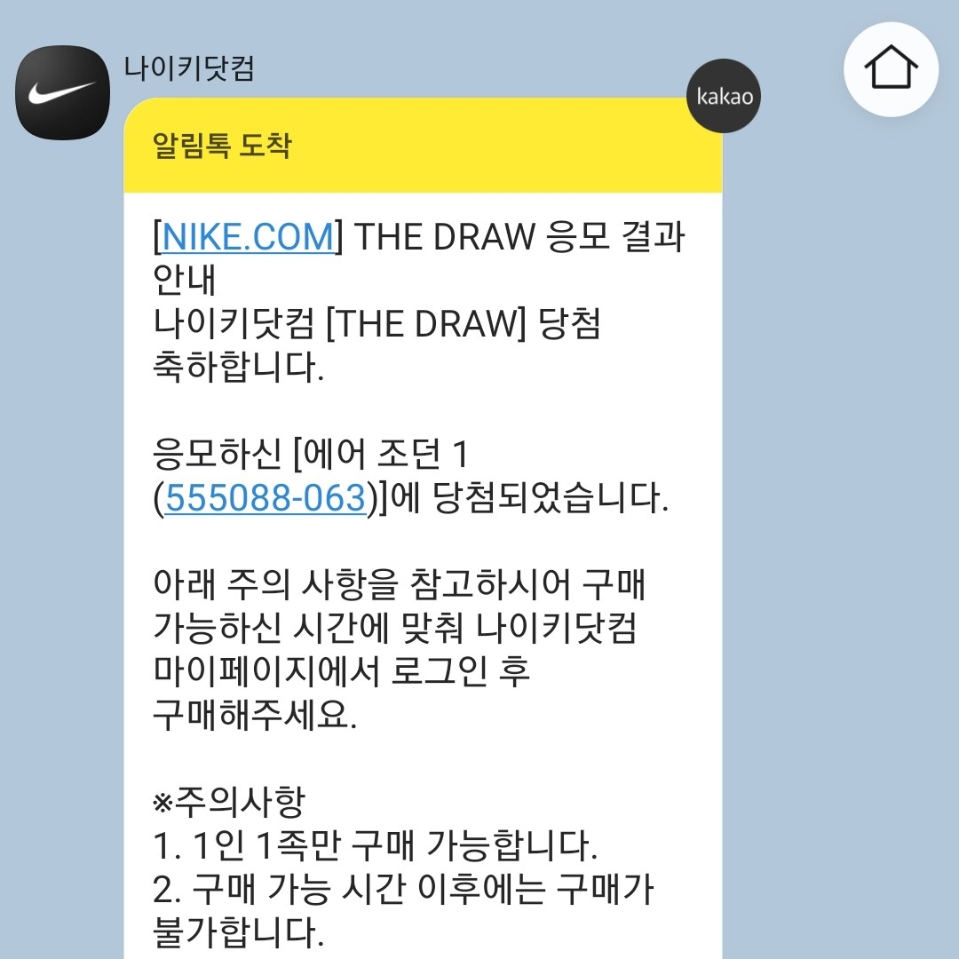 Jordan 1 Retro High OG Patent Bred 착용 스타일
