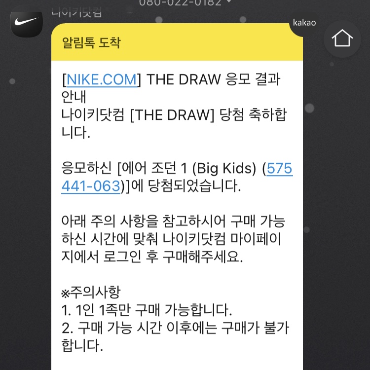 (GS) Jordan 1 Retro High OG Patent Bred 착용 스타일