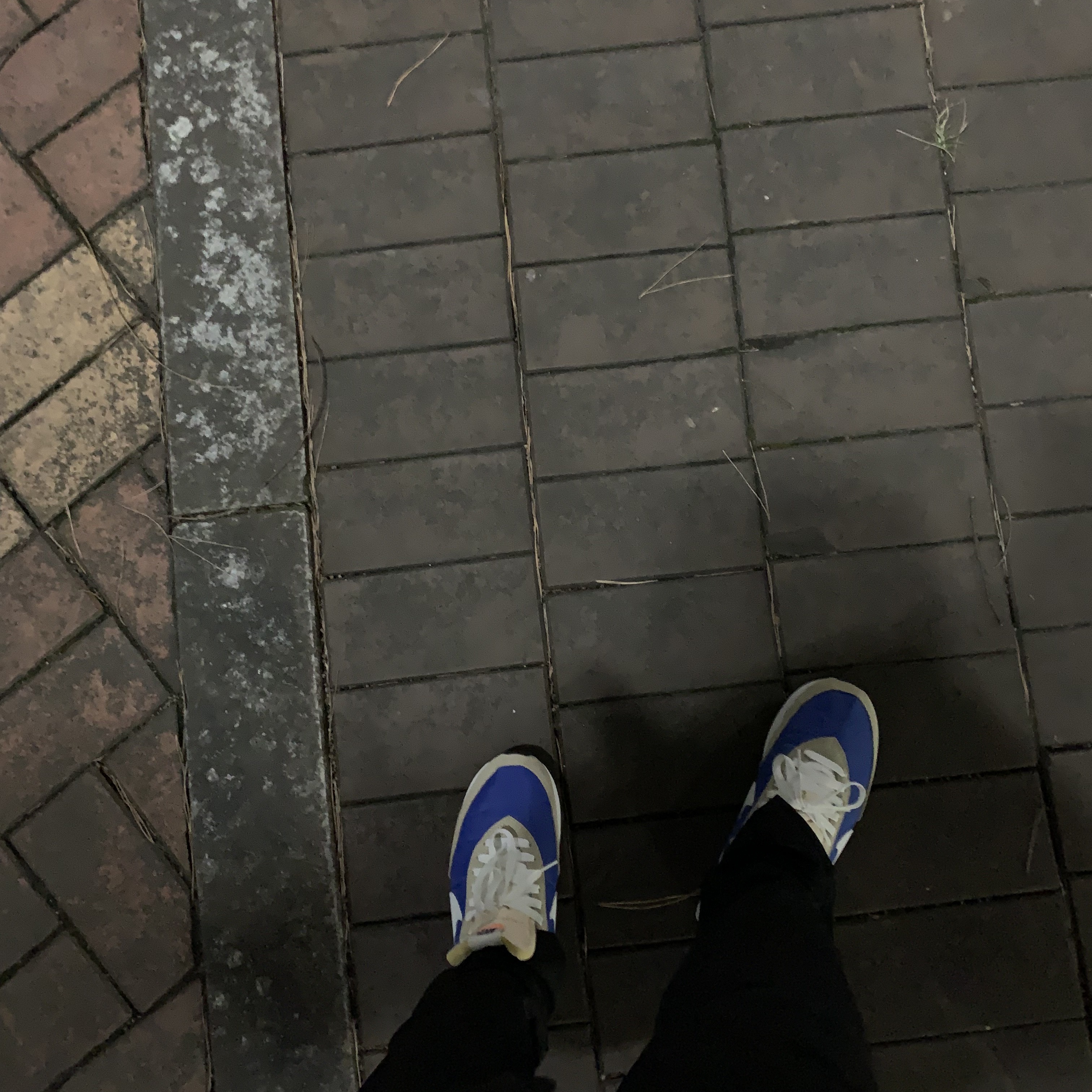 Nike Waffle Trainer 2 Hyper Royal Rattan 착용 스타일