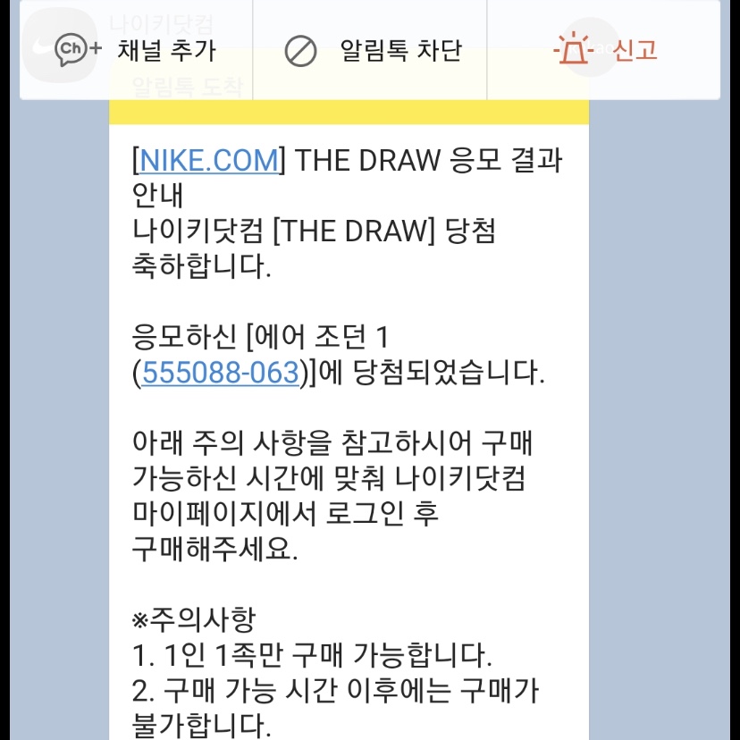 Jordan 1 Retro High OG Patent Bred 착용 스타일 - 1