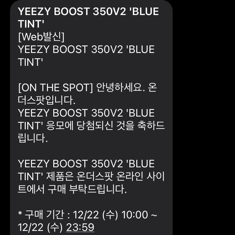 Adidas Yeezy Boost 350 V2 Blue Tint 2017 착용 스타일