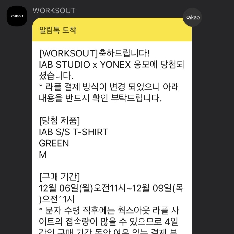 IAB Studio x Yonex T-Shirt Green 착용 스타일