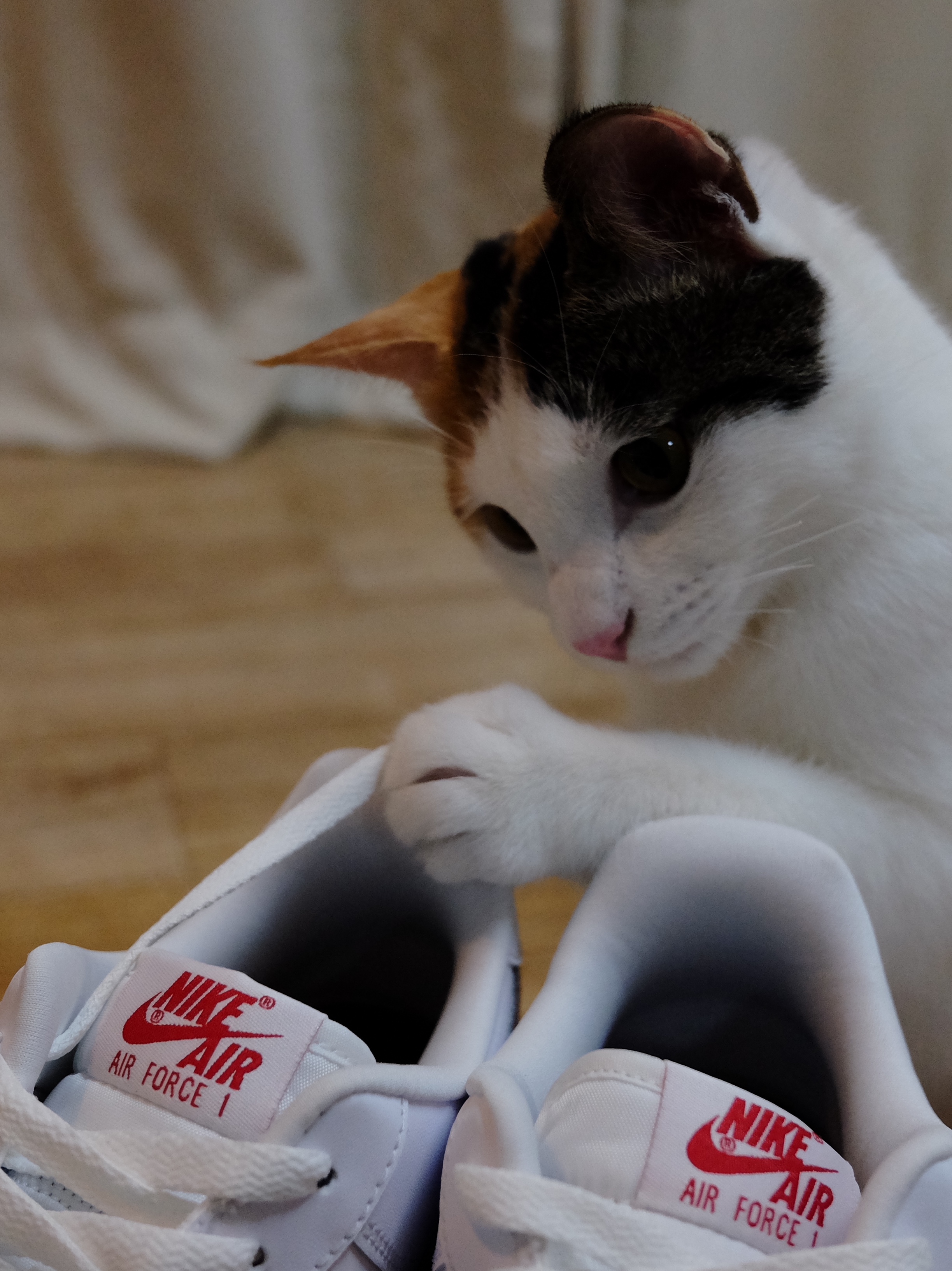 Nike Air Force 1 '07 3M White 착용 스타일 - 2