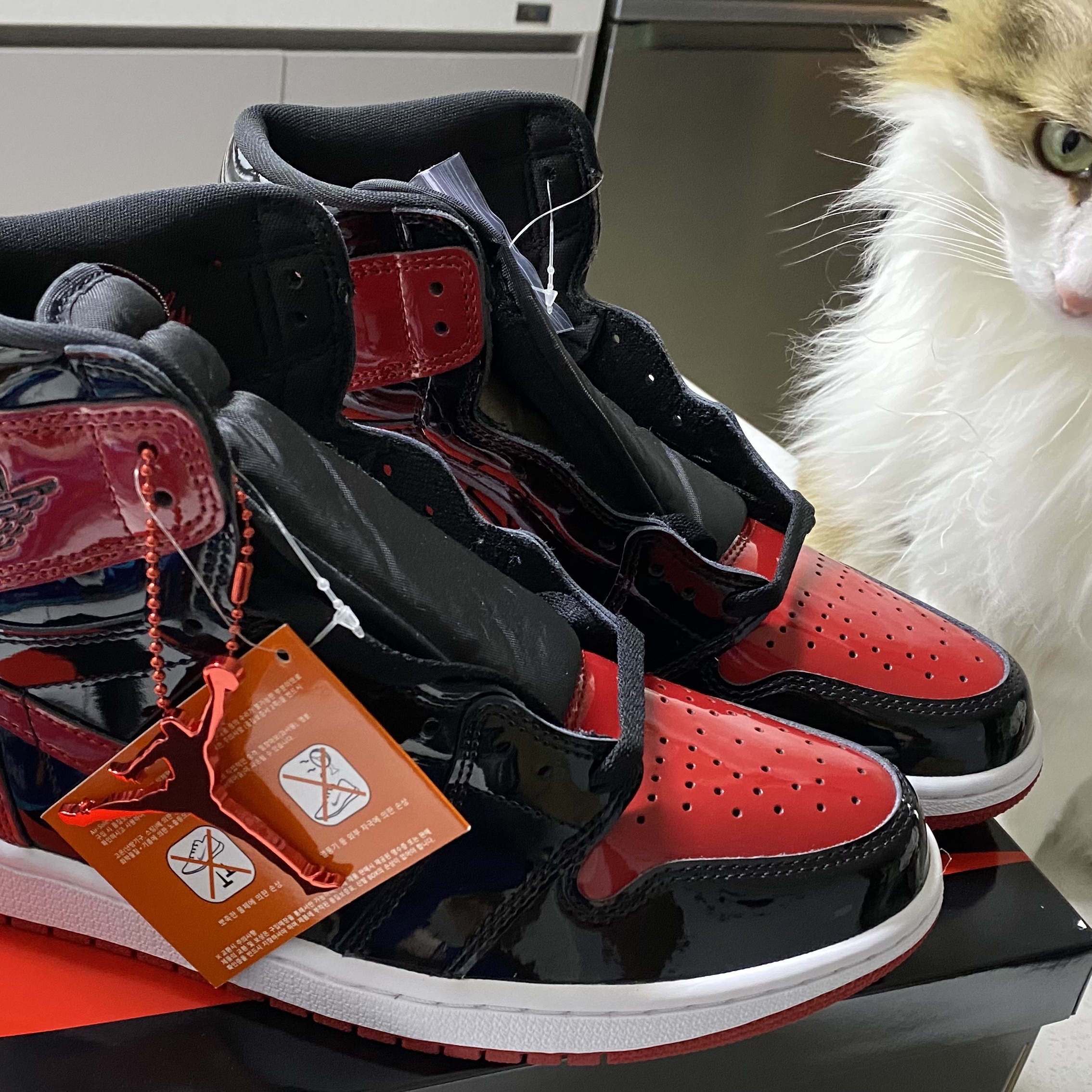 Jordan 1 Retro High OG Patent Bred 착용 스타일 - 1