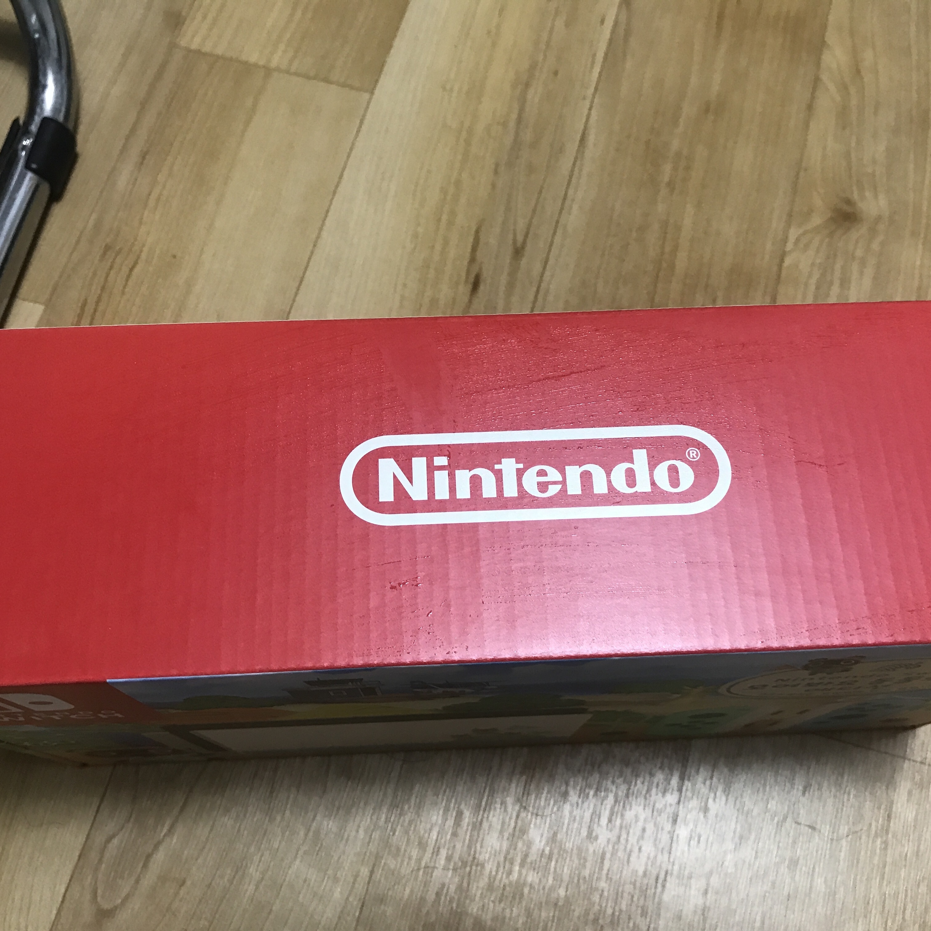 Nintendo Switch Animal Crossing Edition (Korean Ver.) 착용 스타일 - 3