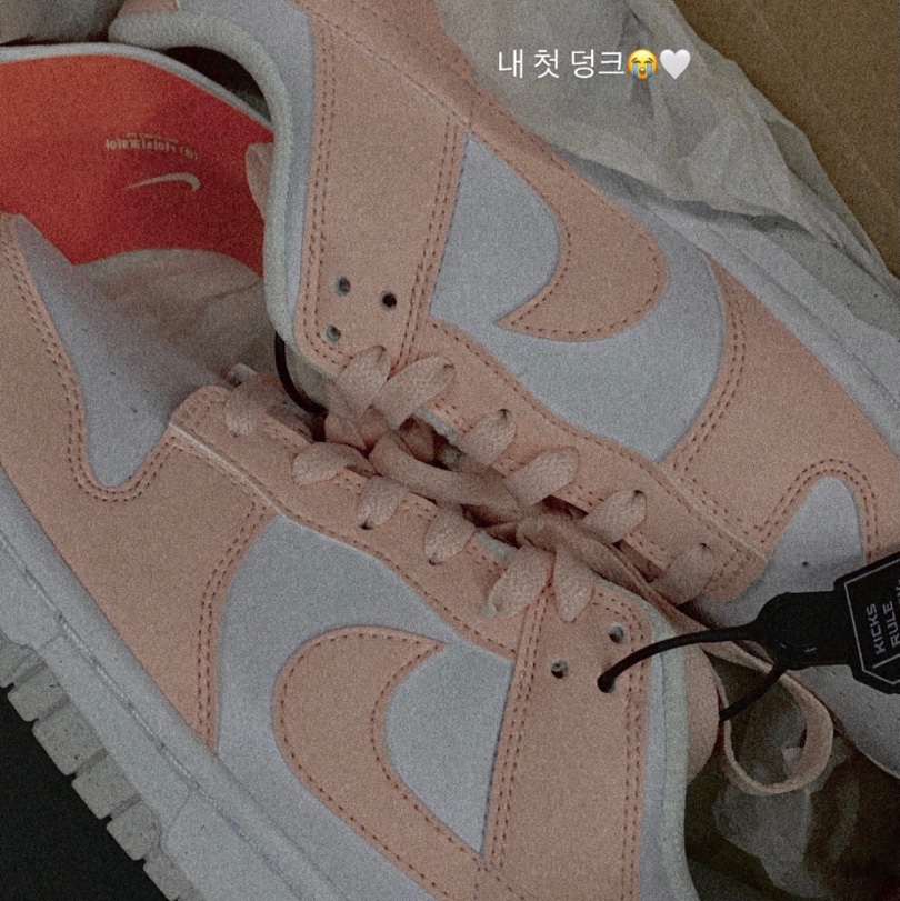(W) Nike Dunk Low Next Nature Pale Coral 착용 스타일 - 2