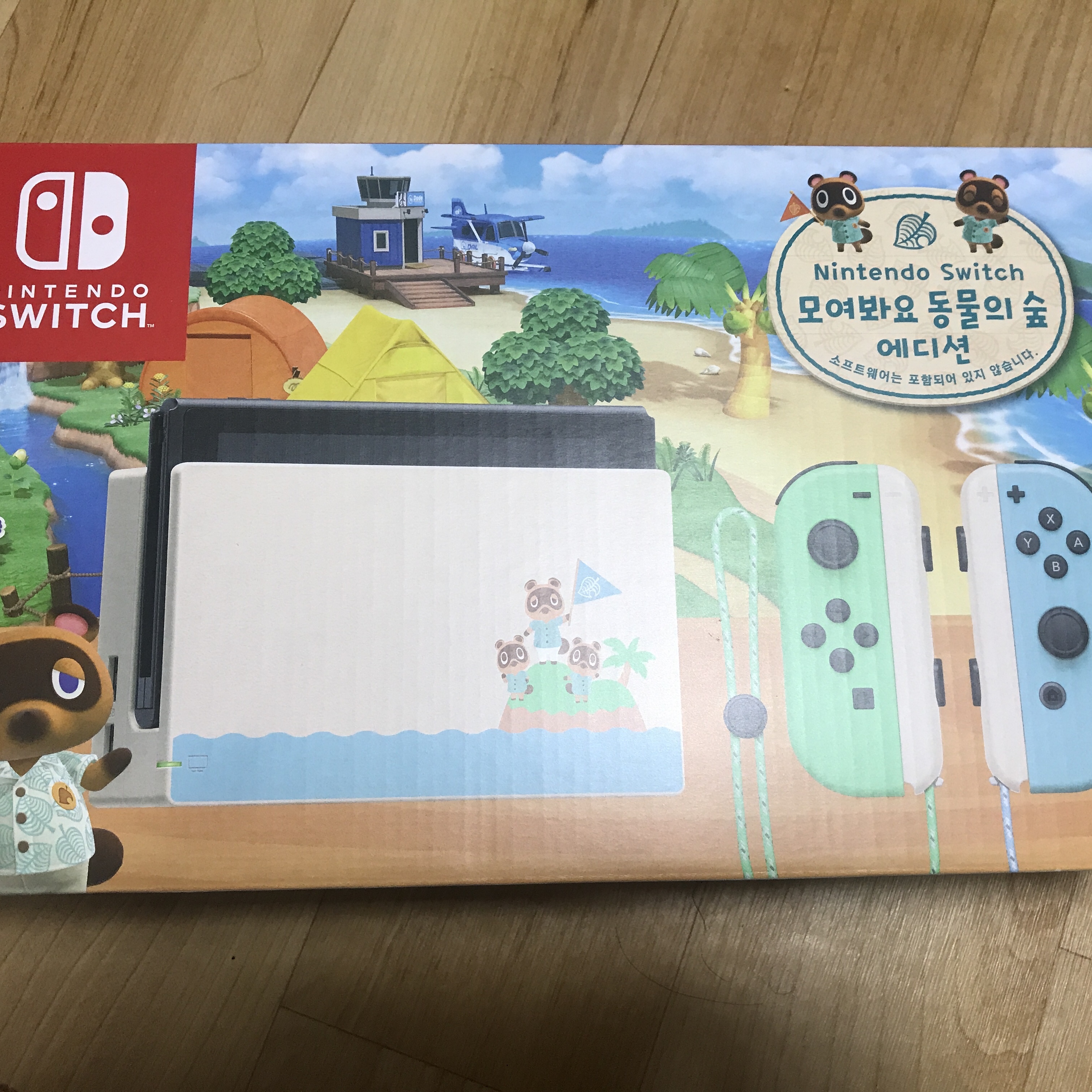 Nintendo Switch Animal Crossing Edition (Korean Ver.) 착용 스타일 - 1
