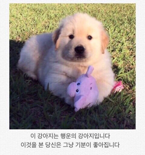 관심 유저 프로필 이미지