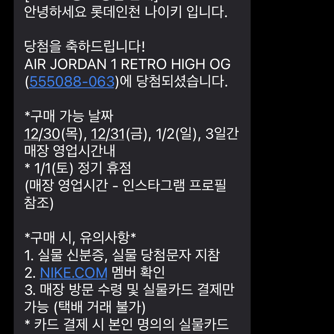 Jordan 1 Retro High OG Patent Bred 착용 스타일