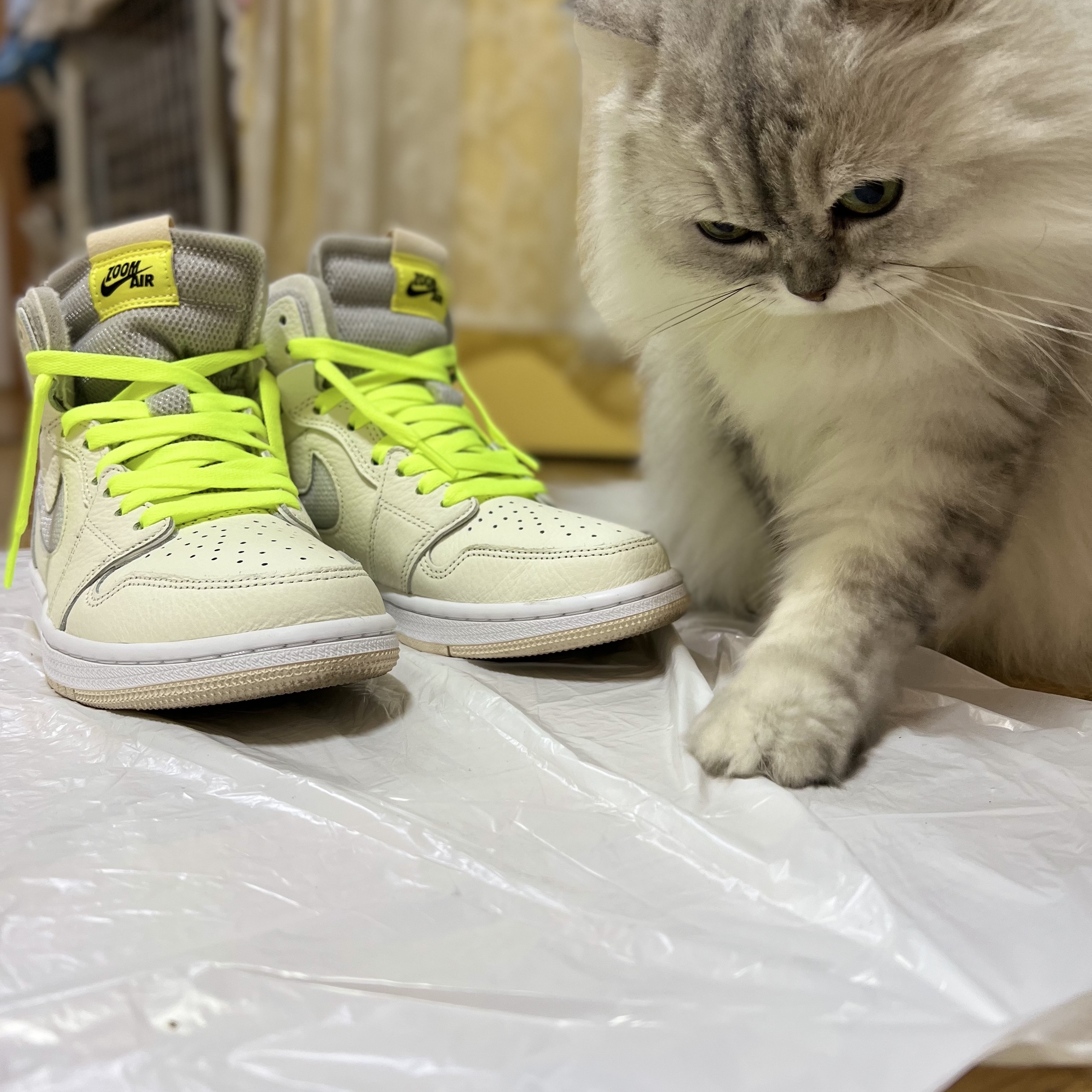 (W) Jordan 1 Zoom Air CMFT Sail 착용 스타일 - 2