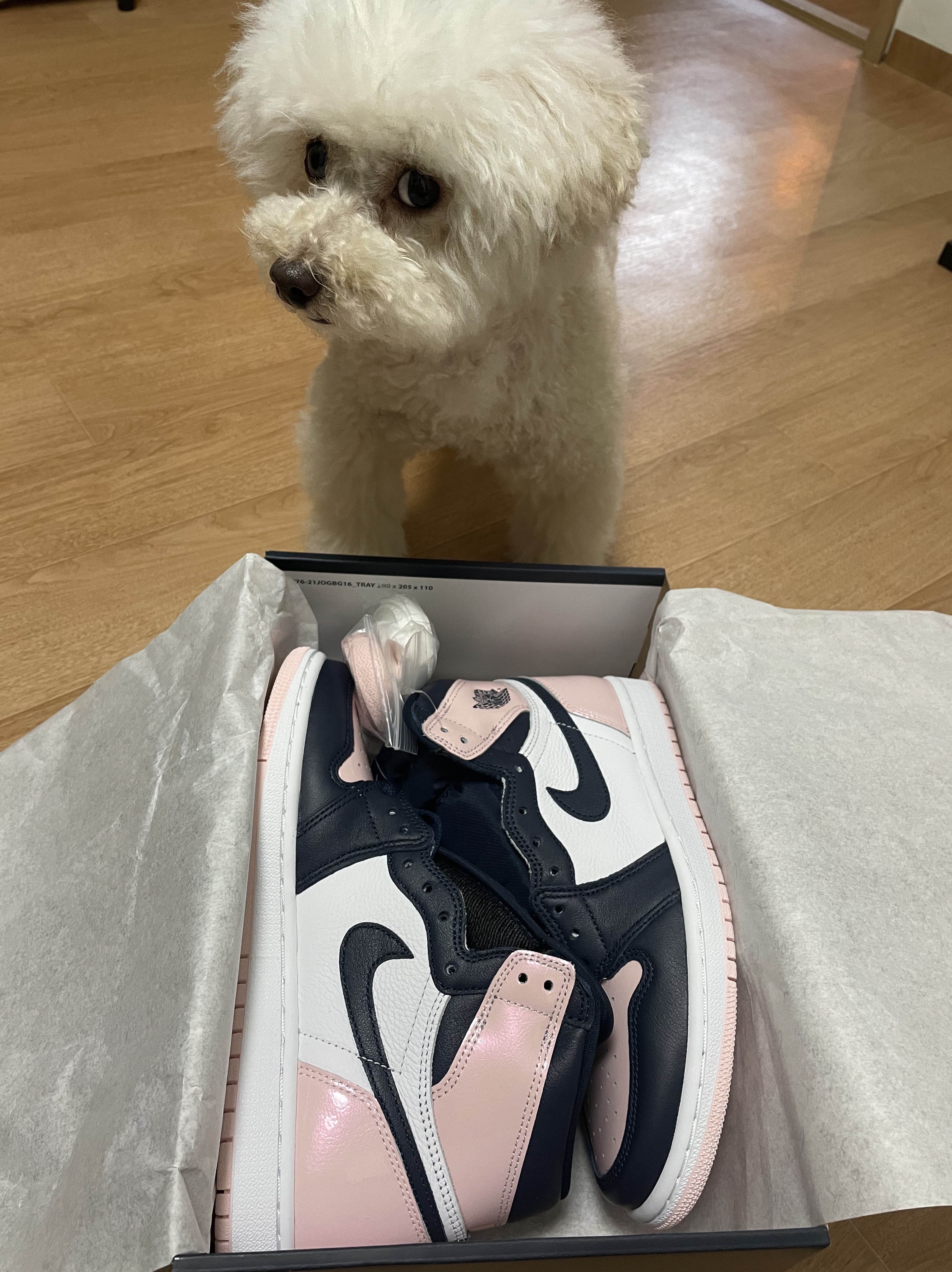 (W) Jordan 1 Retro High OG Atmosphere 착용 스타일