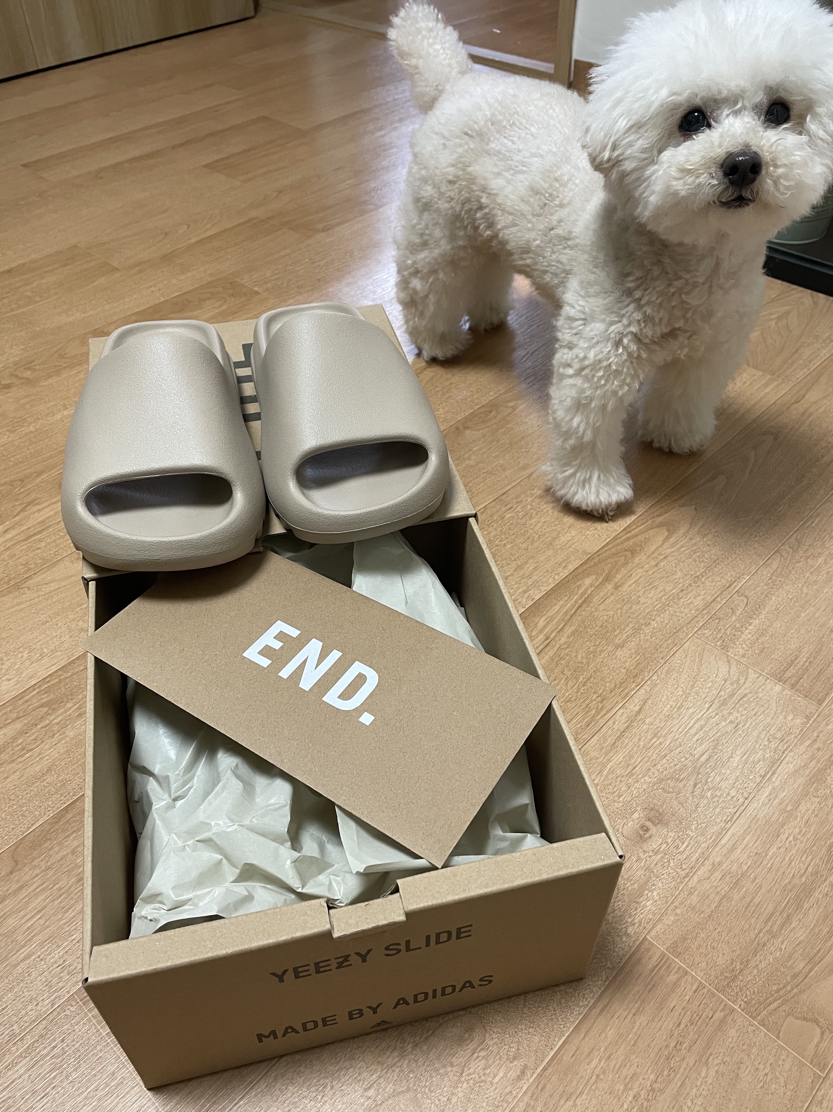 Adidas Yeezy Slide Pure - Re-Release Ver. 착용 스타일