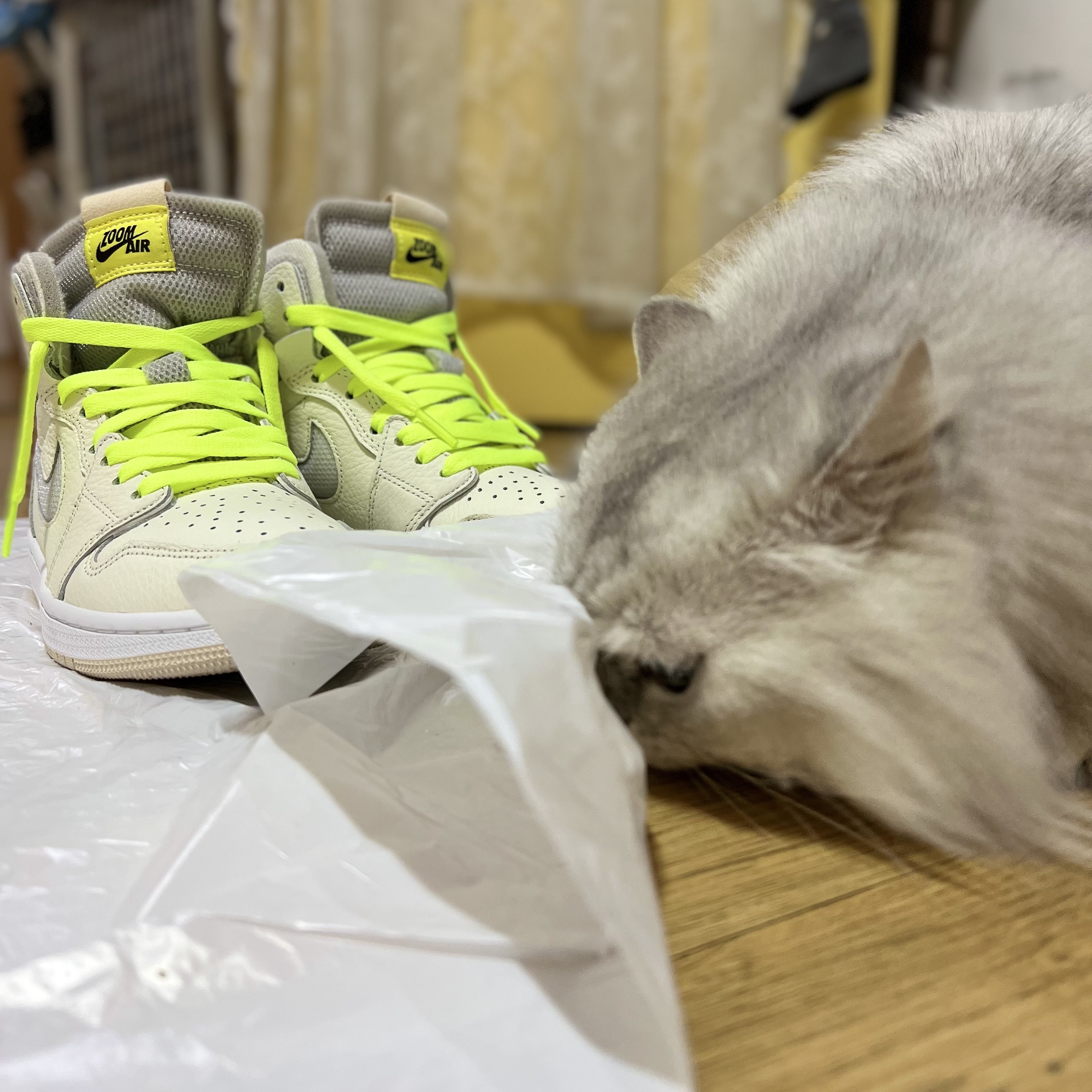 (W) Jordan 1 Zoom Air CMFT Sail 착용 스타일 - 4