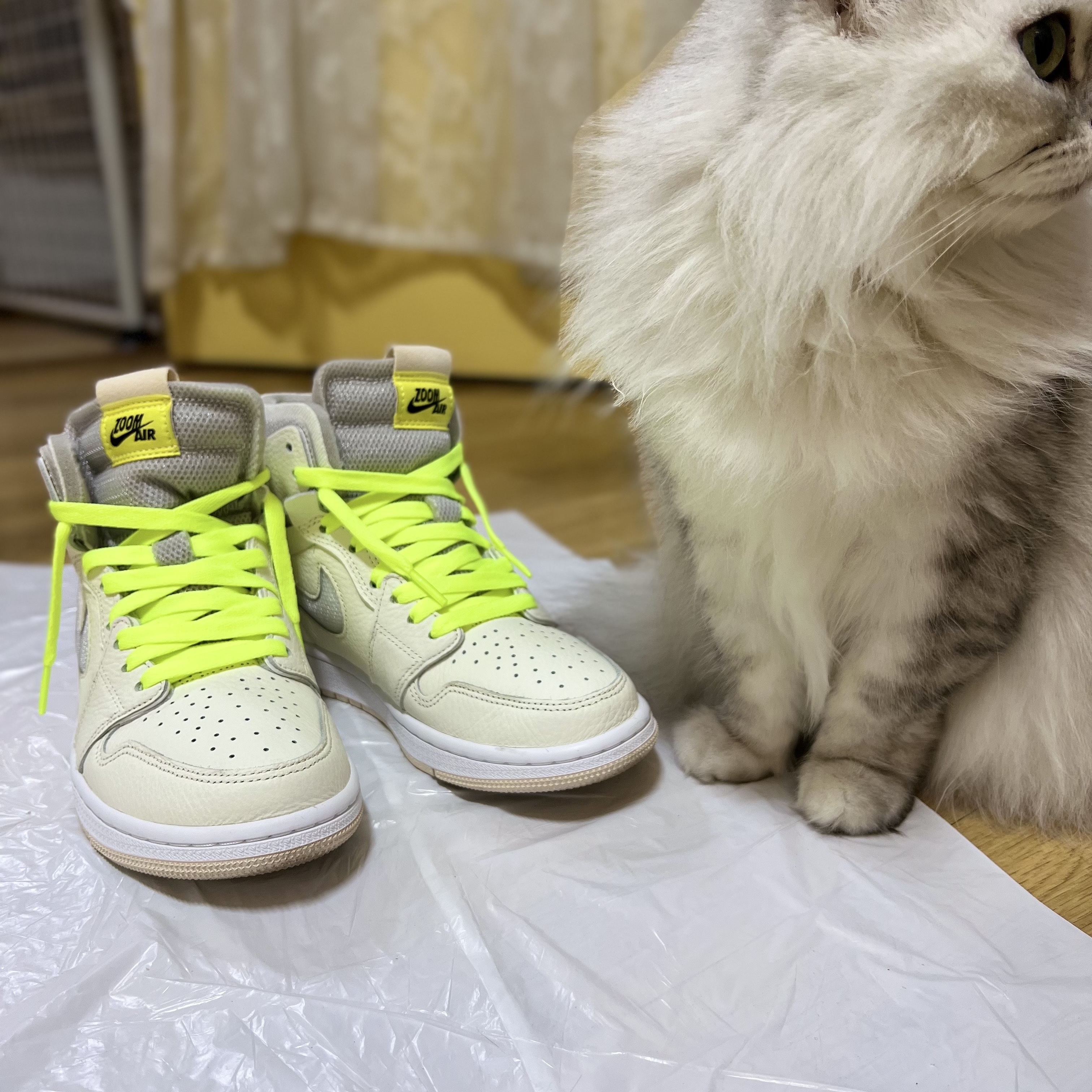 (W) Jordan 1 Zoom Air CMFT Sail 착용 스타일 - 1