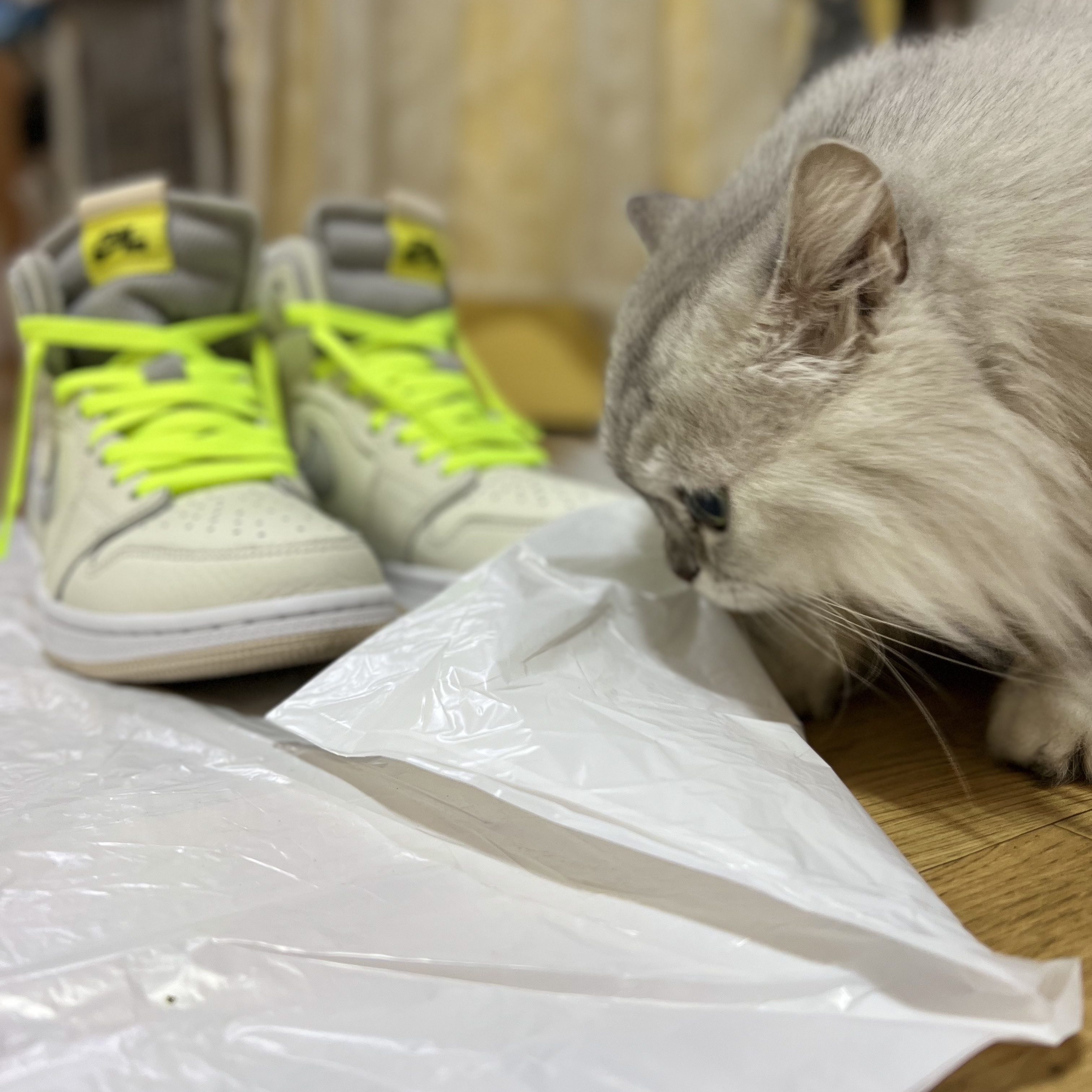 (W) Jordan 1 Zoom Air CMFT Sail 착용 스타일 - 3