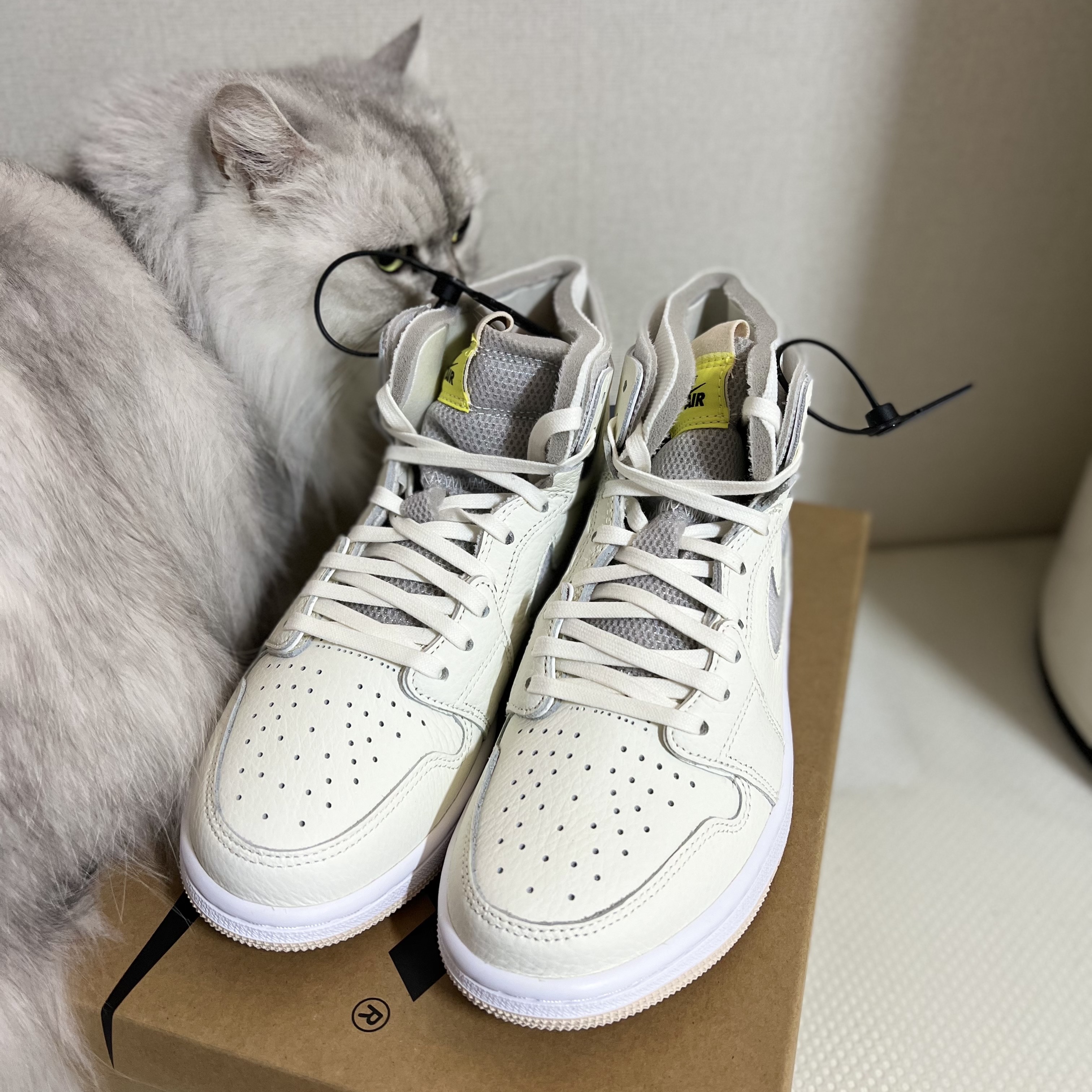 (W) Jordan 1 Zoom Air CMFT Sail 착용 스타일 - 3