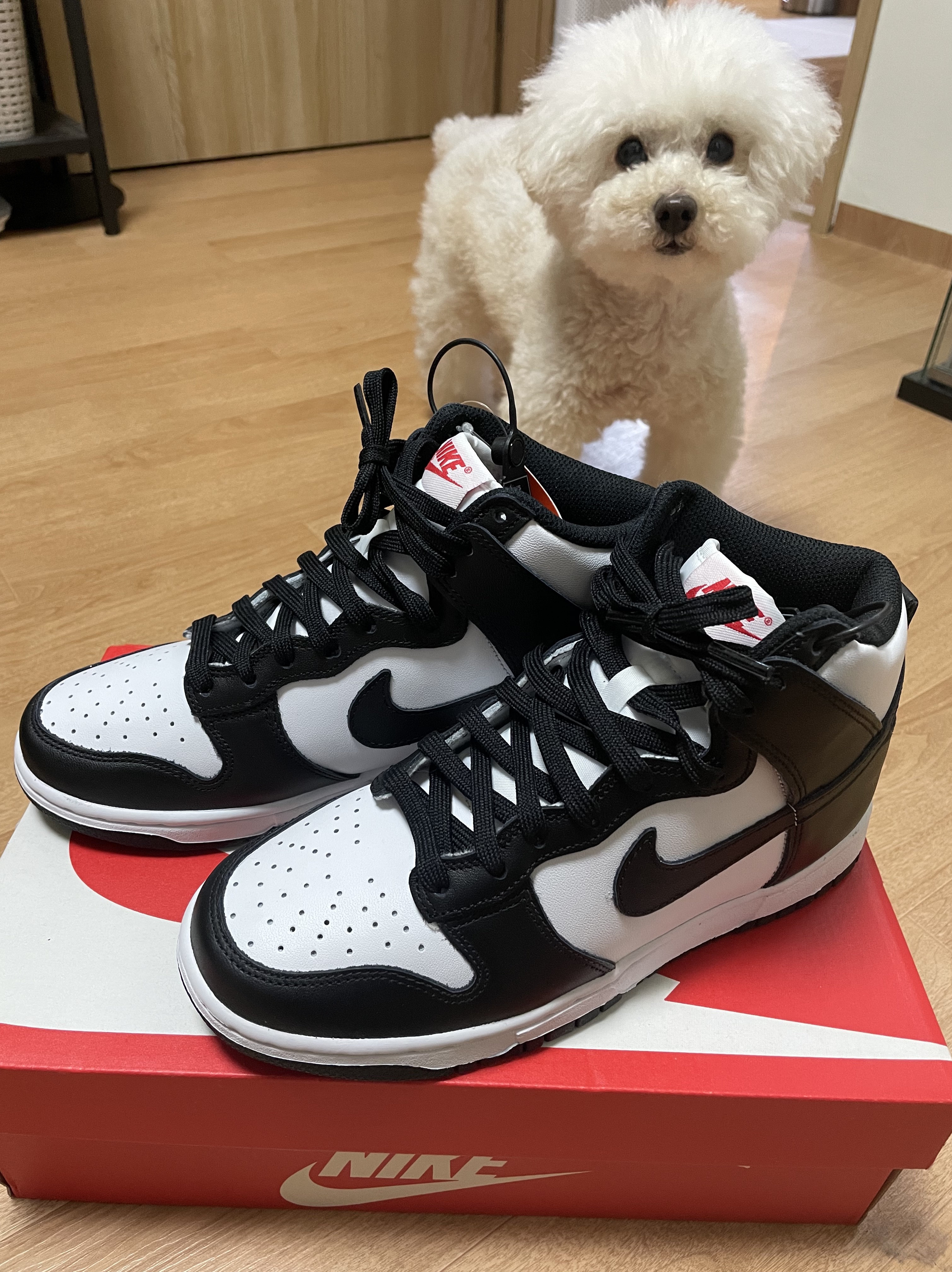 (W) Nike Dunk High Black and White 착용 스타일