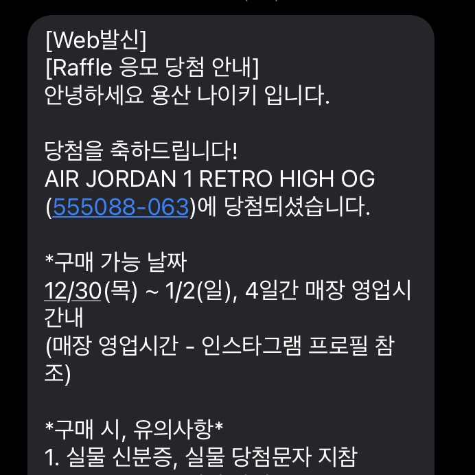 Jordan 1 Retro High OG Patent Bred, Nike ACG Gore-Tex Misery Ridge Jacket Black - US/EU 착용 스타일 - 1