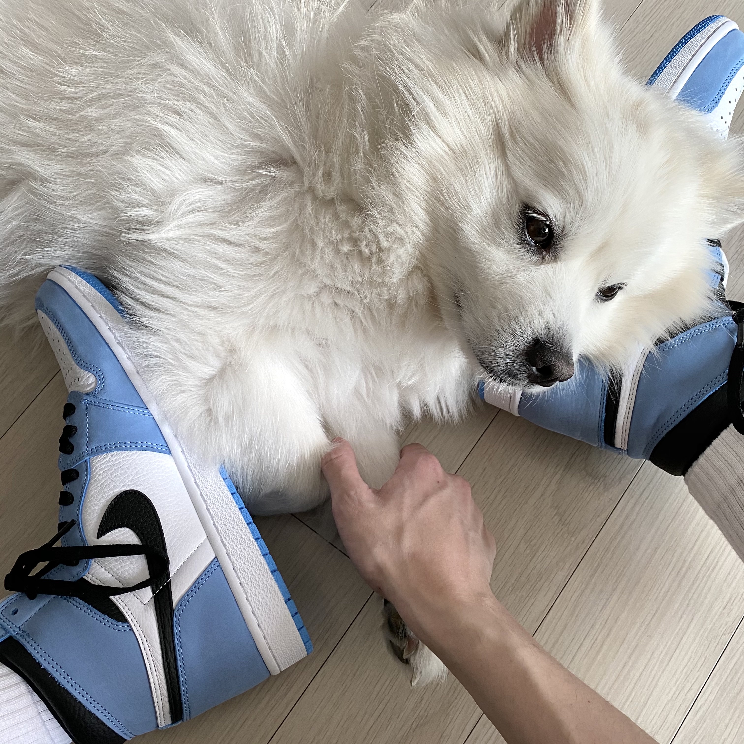 Jordan 1 Retro High OG University Blue, (GS) Jordan 1 Retro High OG University Blue 착용 스타일