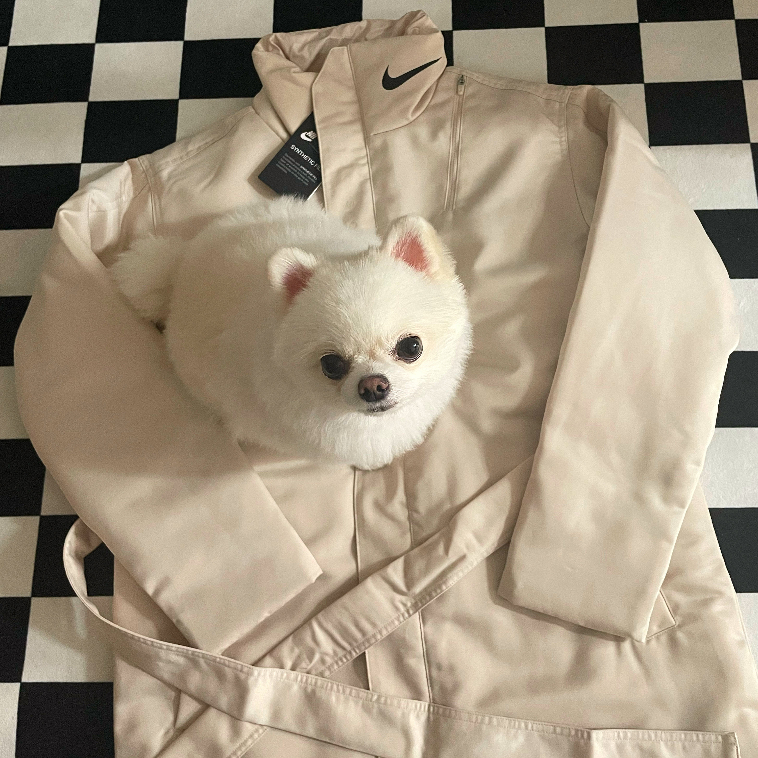 똘빡이님의 스타일