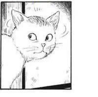 관심 유저 프로필 이미지