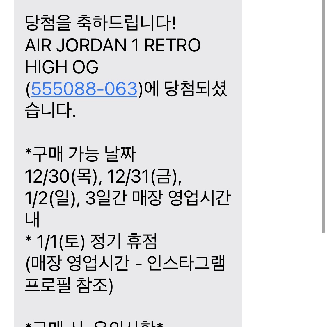 Jordan 1 Retro High OG Patent Bred 착용 스타일