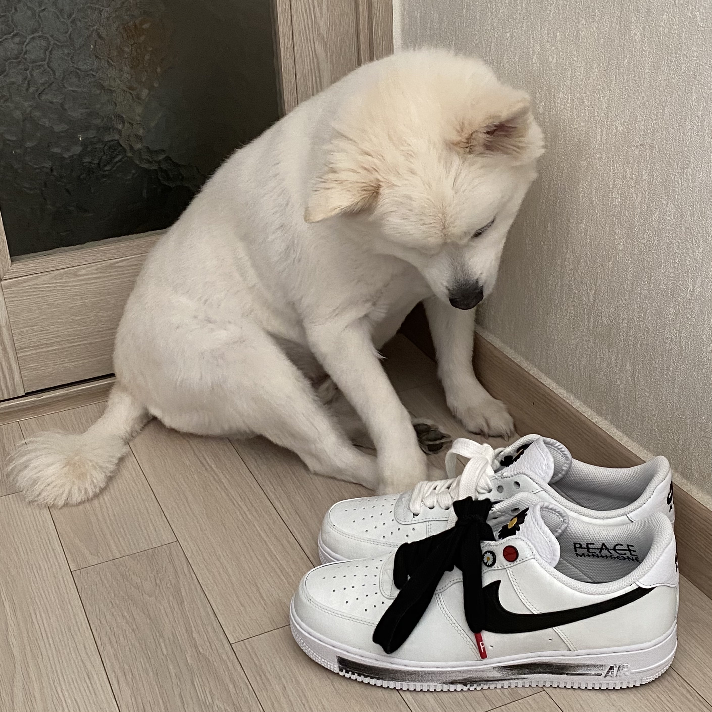 Nike x Peaceminusone Air Force 1 Low Para-Noise 2.0 착용 스타일