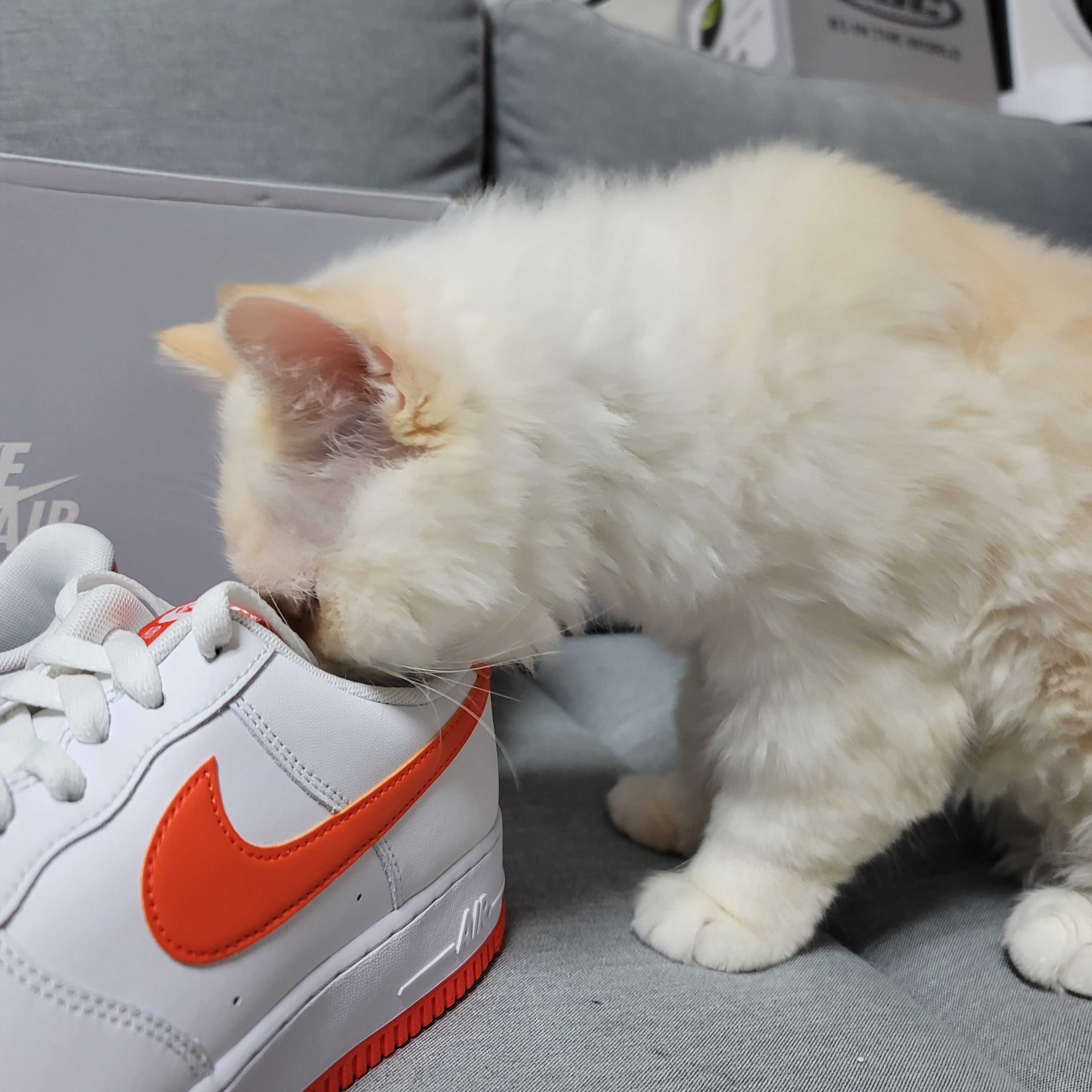 Jordan 1 Low OG Starfish, Nike Air Force 1 '07 Low White Team Orange 착용 스타일 - 3