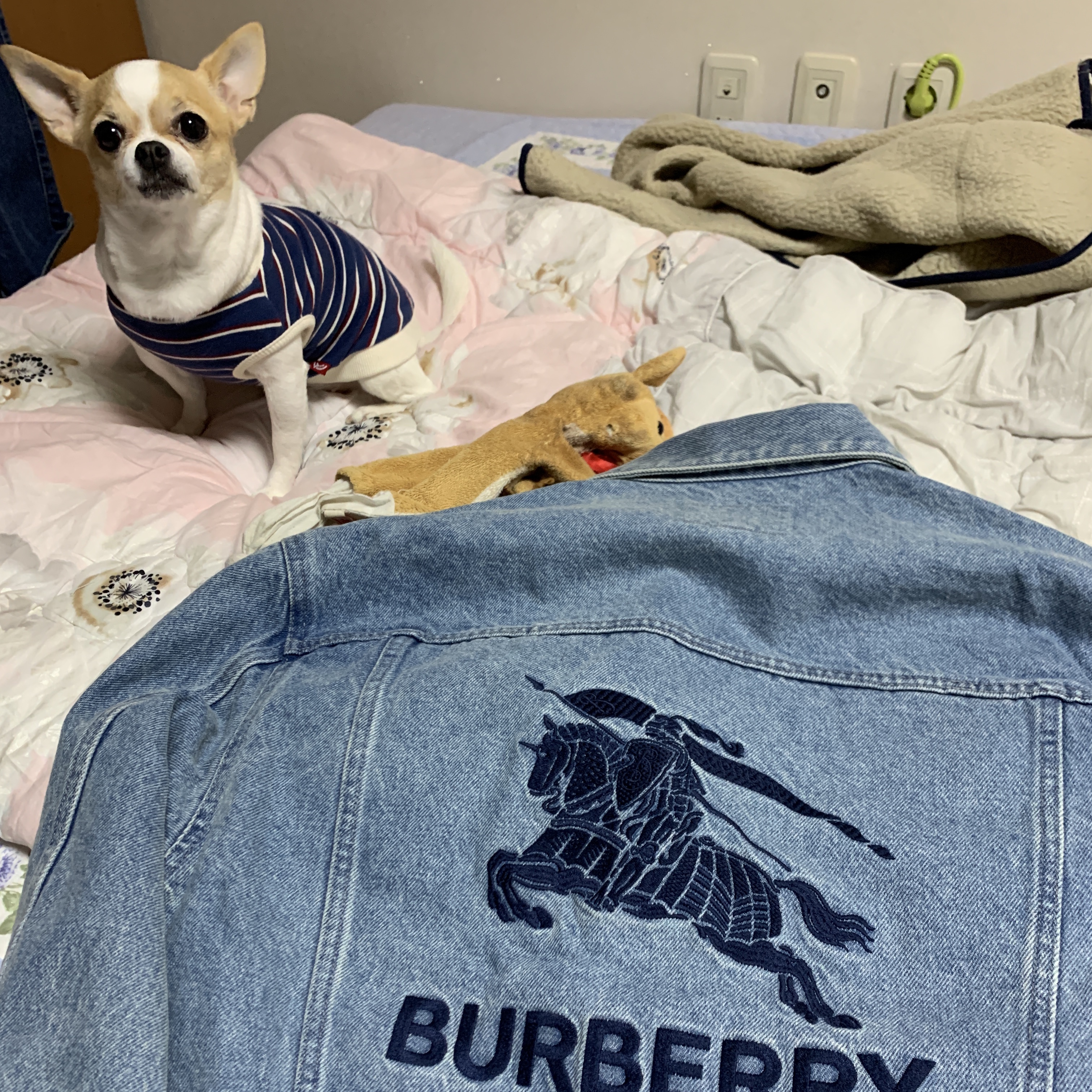 Supreme x Burberry Denim Trucker Jacket Washed Blue - 22SS 착용 스타일