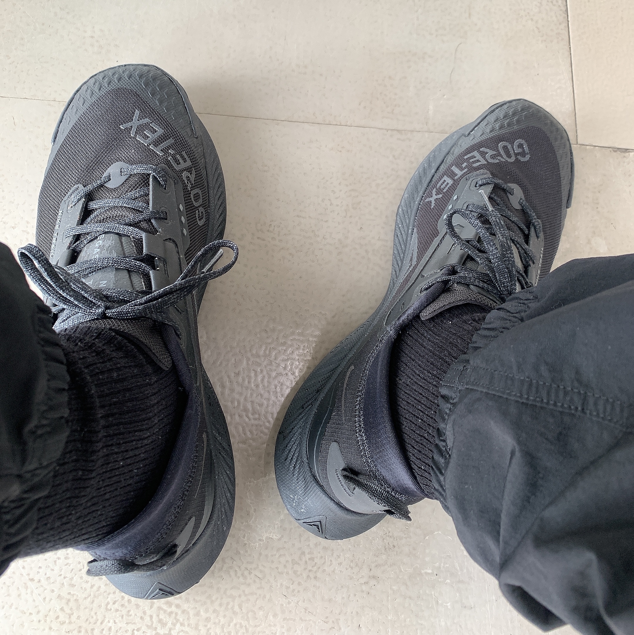 Nike Pegasus Trail 3 Gore-Tex Black Dark Smoke Grey 착용 스타일