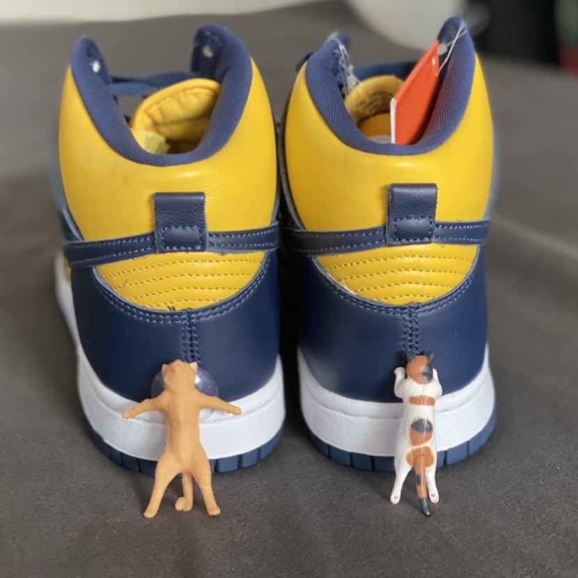 Nike Dunk High SP Maize & Blue 착용 스타일 - 4