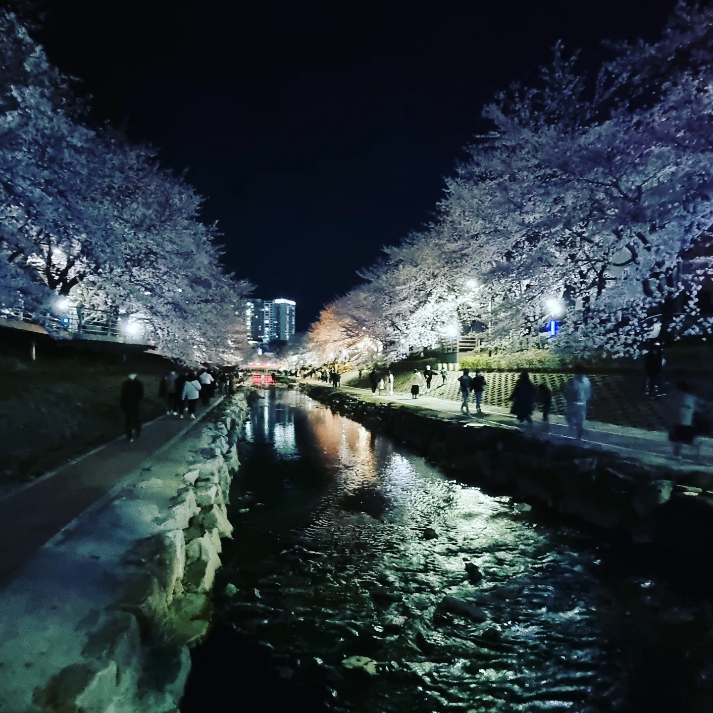 xxxx님의 스타일 - 4
