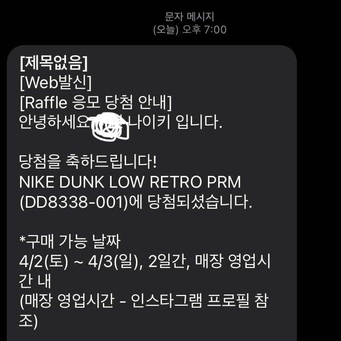 Nike Dunk Low Retro PRM Vast Grey 착용 스타일 - 2
