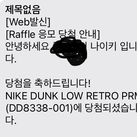 Nike Dunk Low Retro PRM Vast Grey 착용 스타일