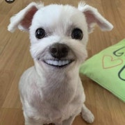 KREAM 프로필 이미지