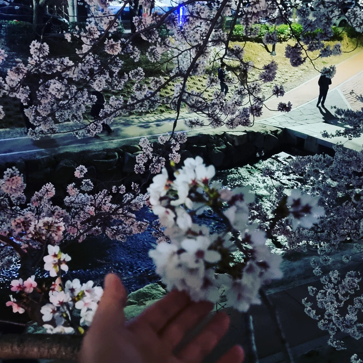 xxxx님의 스타일 - 2
