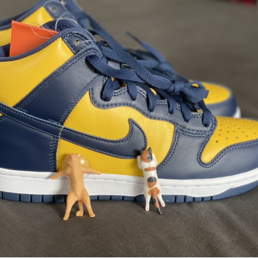 Nike Dunk High SP Maize & Blue 착용 스타일 - 1