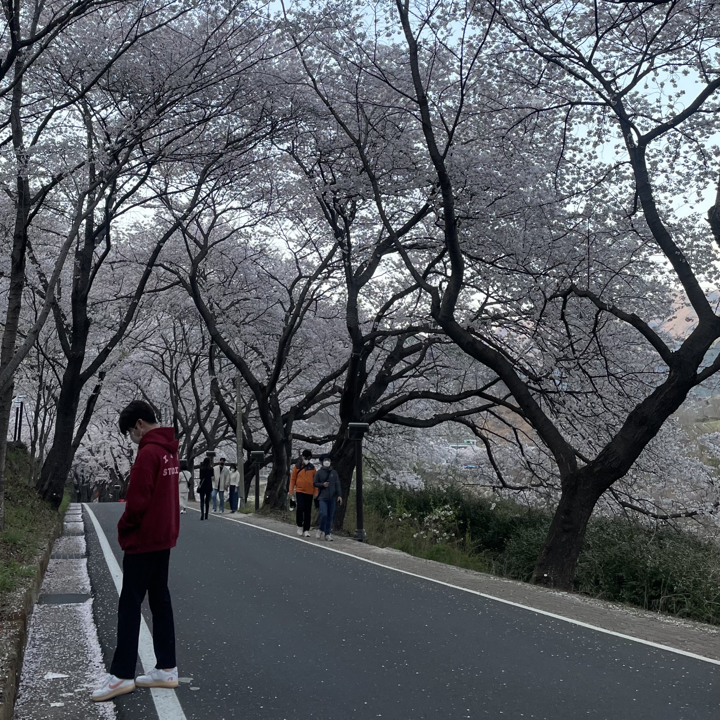 Nike x Mayumi Yamase Air Force 1 Flyleather Solar Red, IAB Studio Hoodie Raspberry 착용 스타일