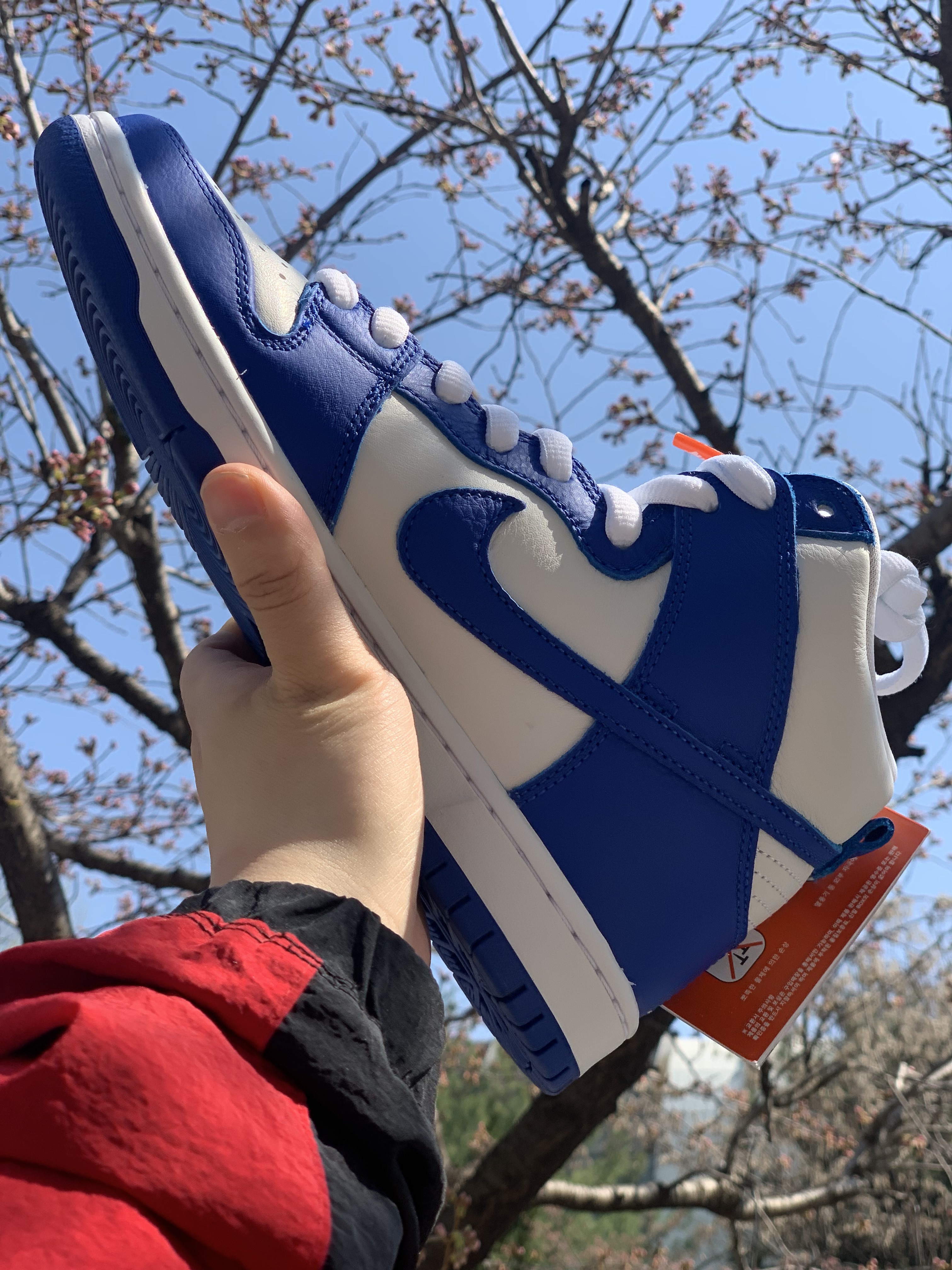 Nike SB Dunk High Pro ISO Kentucky 착용 스타일