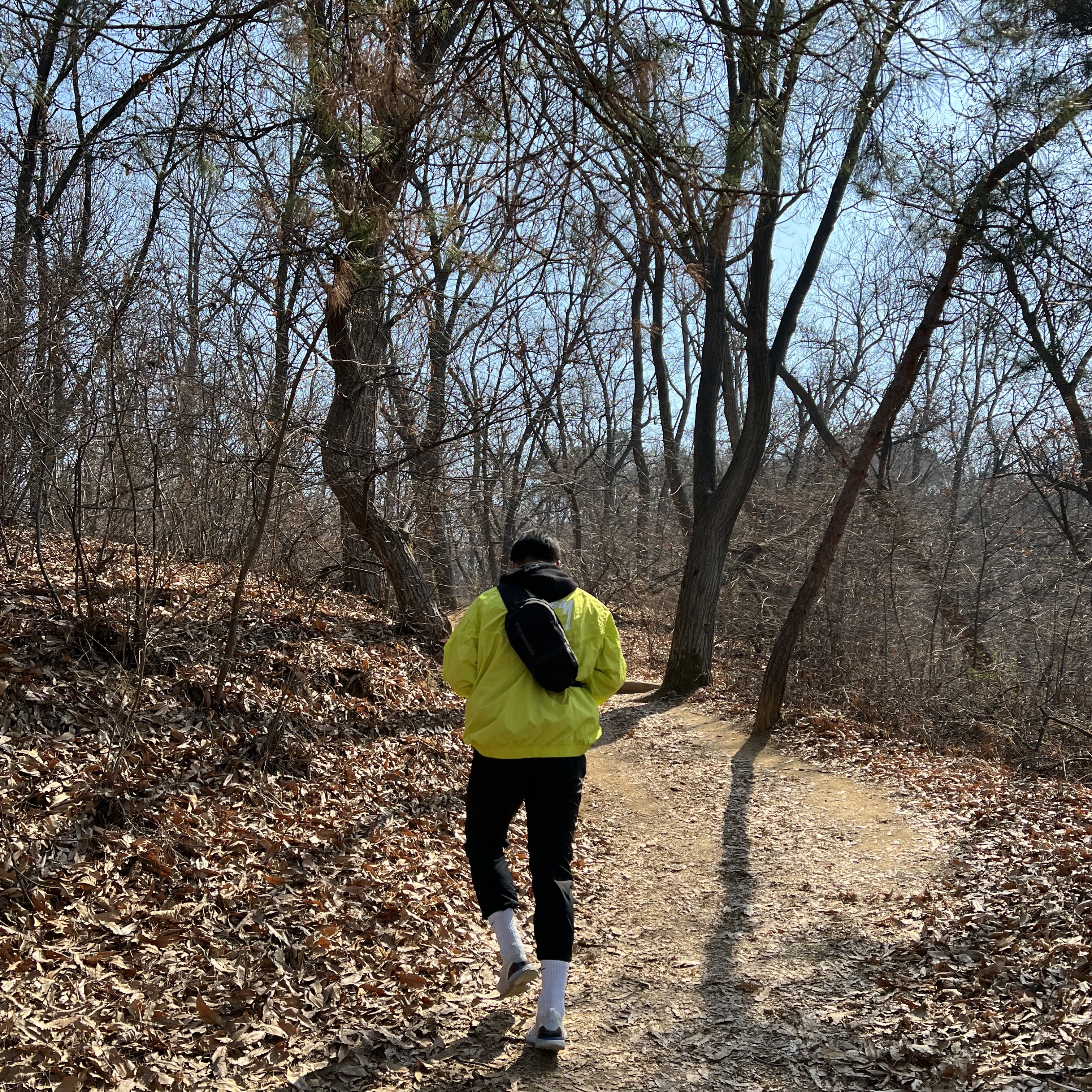 Nike x Stussy Windrunner Jacket Bright Cactus 착용 스타일