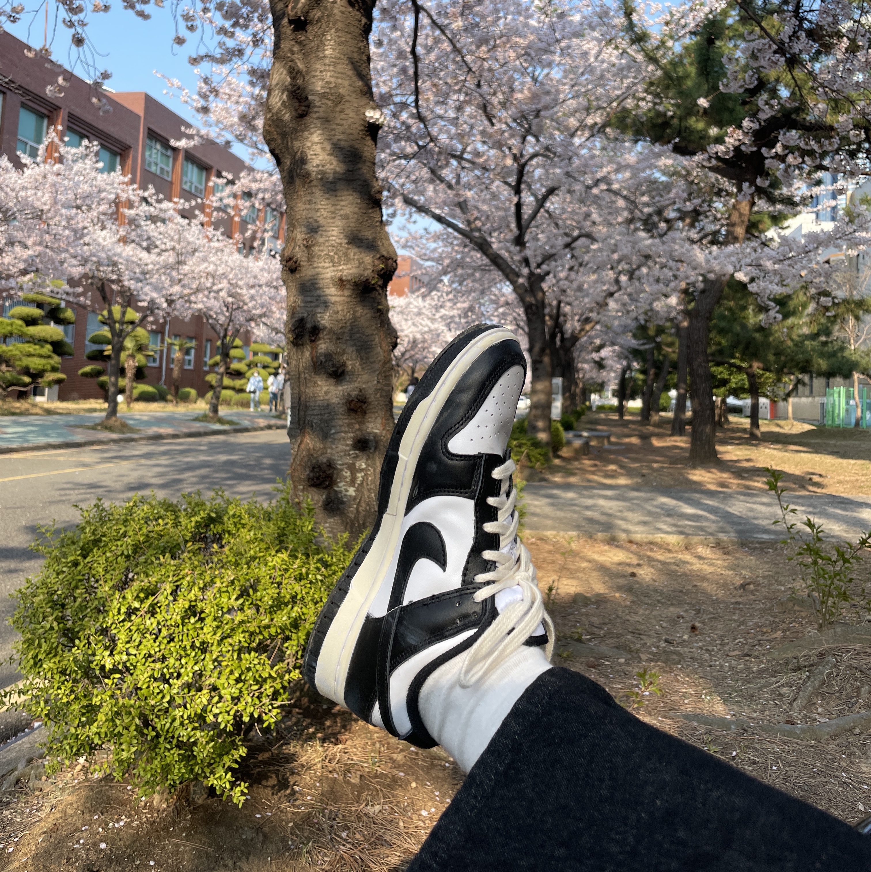 Nike Dunk Low Retro Black, (W) Nike Dunk Low Black 착용 스타일