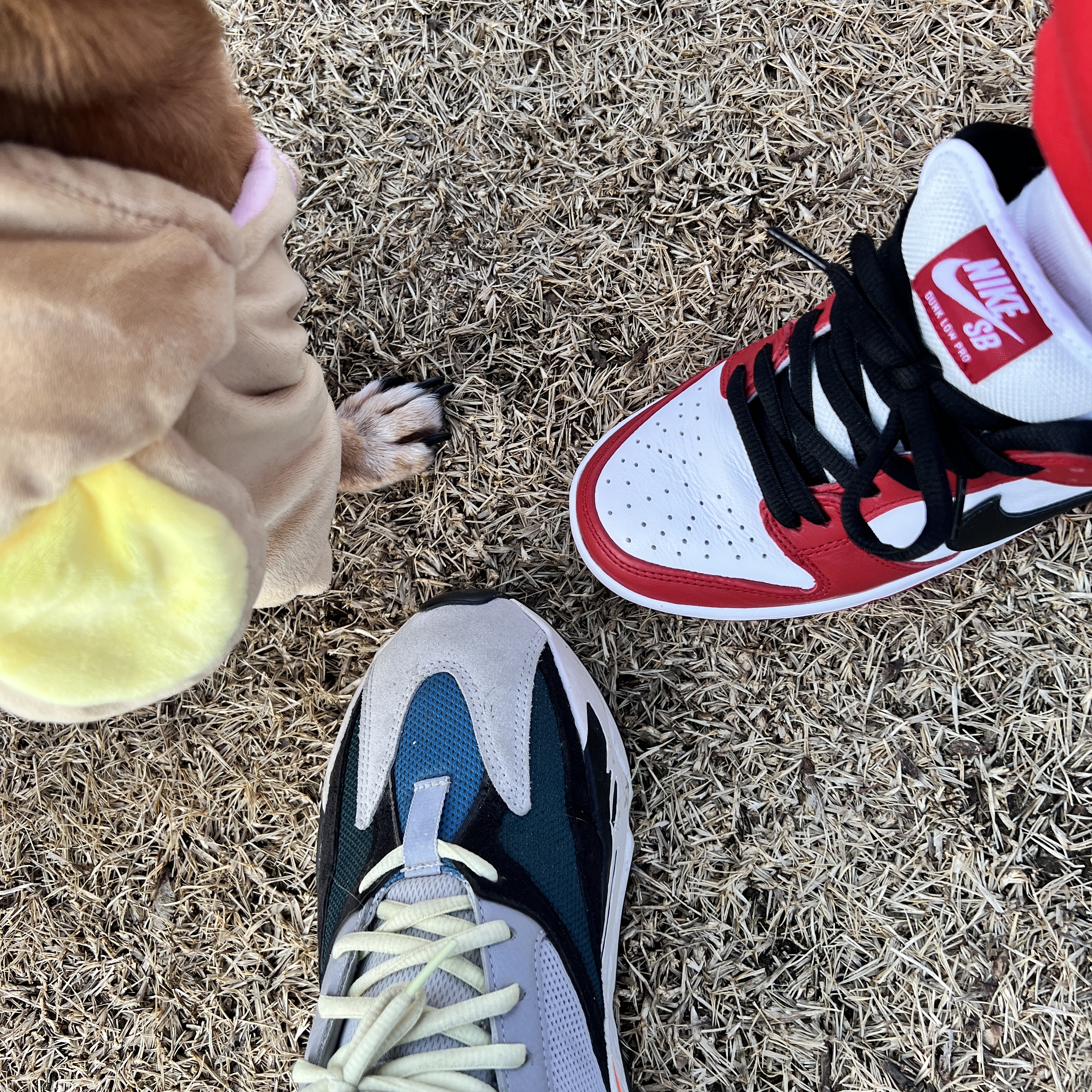 Nike SB Dunk Low Pro Chicago, Supreme x Nike NBA Teams Warm-Up Jacket Black - 18SS 착용 스타일 - 4