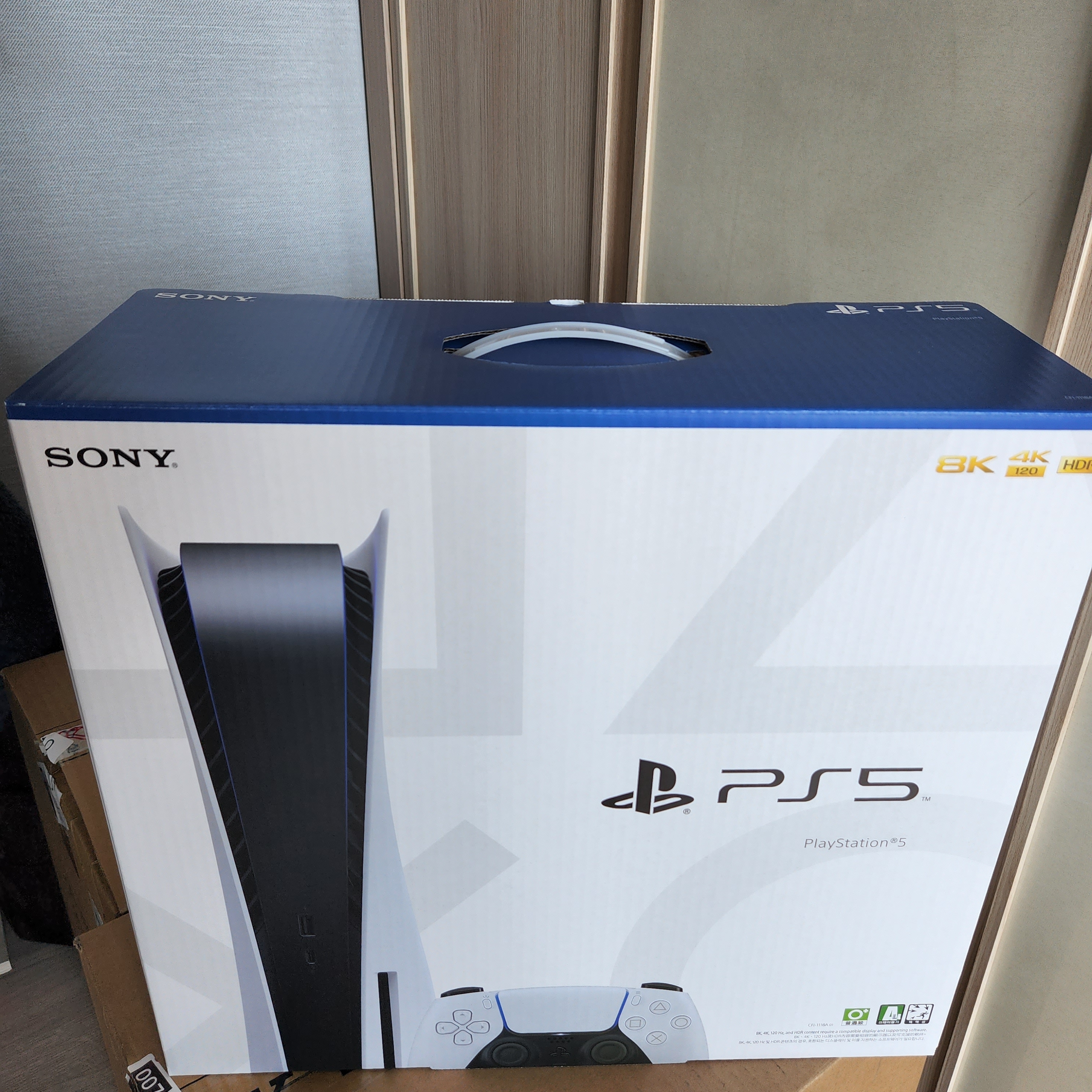 Playstation 5 Blu-ray Edition (SIEK 220V) 착용 스타일