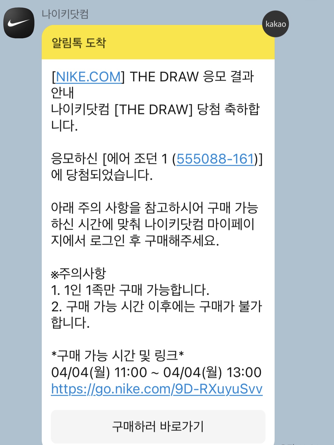 Jordan 1 Retro High OG Heritage 착용 스타일